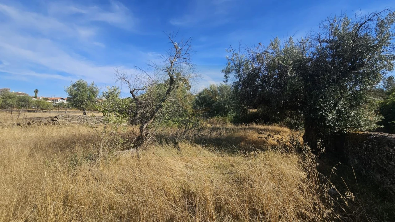 Terreno para Venda em Cebolais de Cima e Retaxo Foto 2