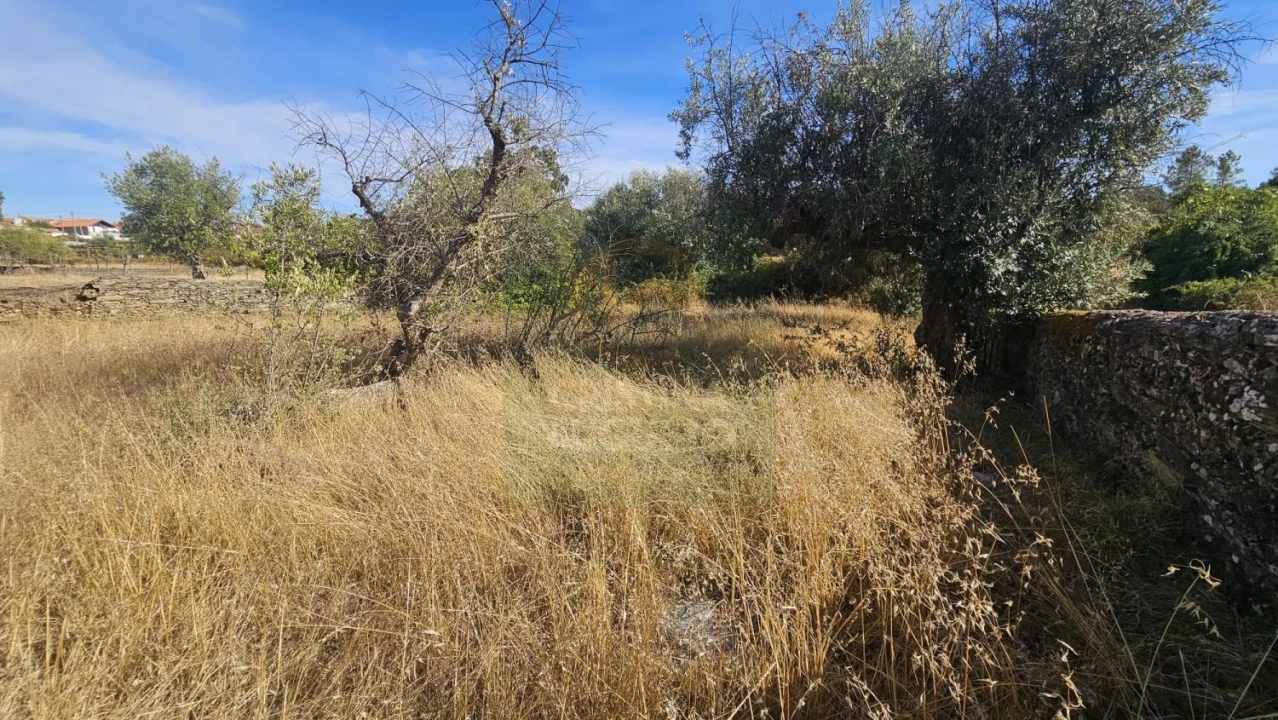 Terreno para Venda em Cebolais de Cima e Retaxo Foto 3