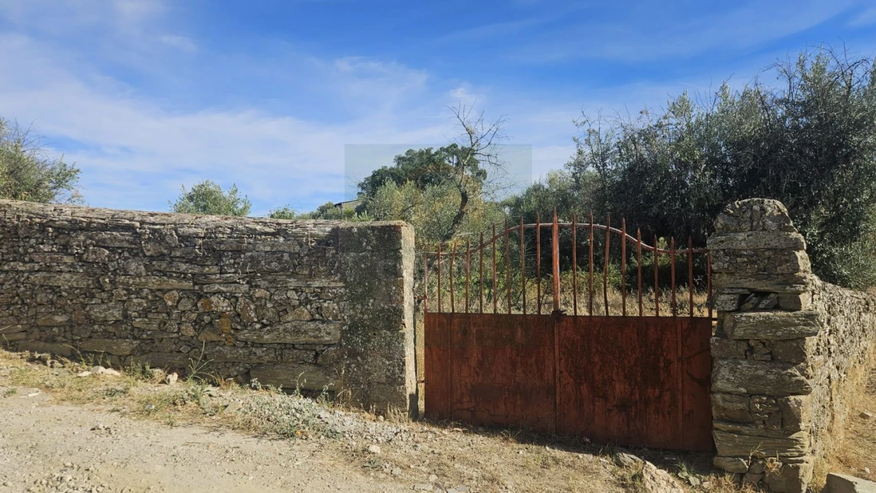 Terreno para Venda em Cebolais de Cima e Retaxo Foto 7