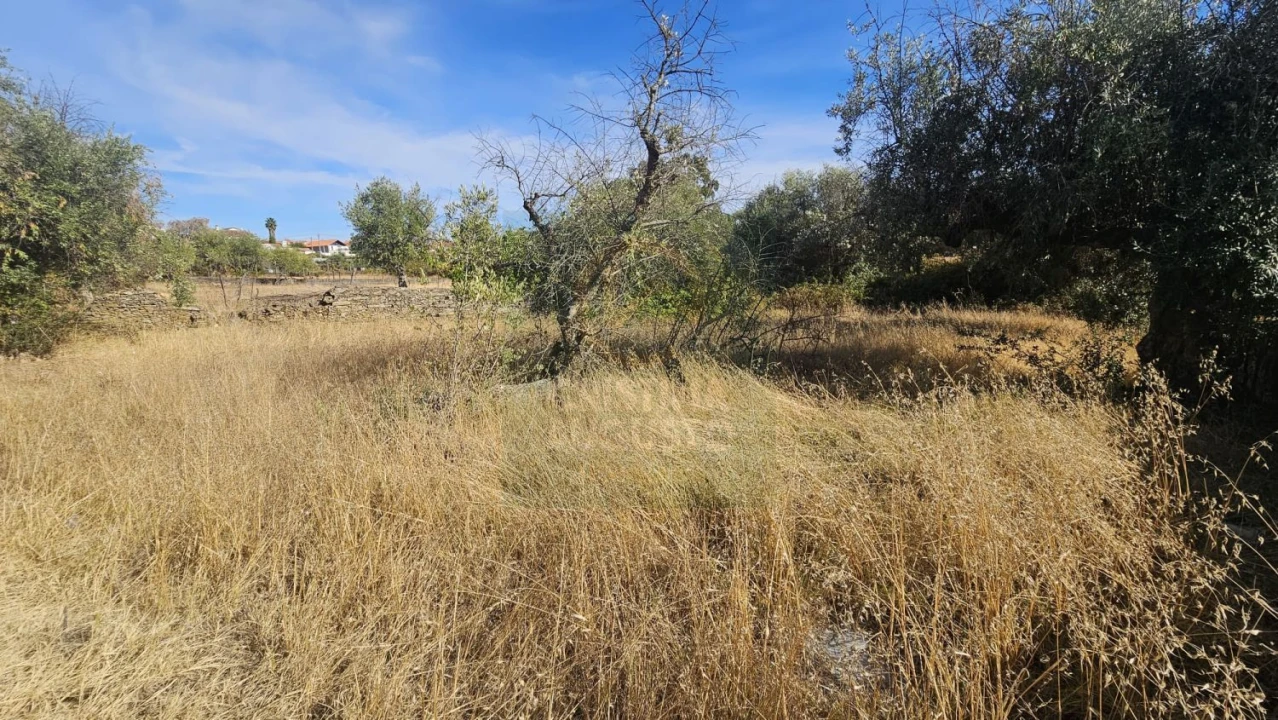 Terreno para Venda em Cebolais de Cima e Retaxo Foto 4