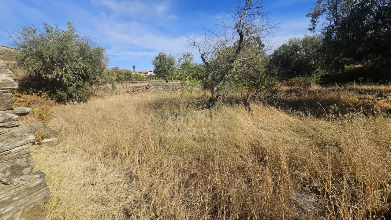 Terreno para Venda em Cebolais de Cima e Retaxo Foto 6