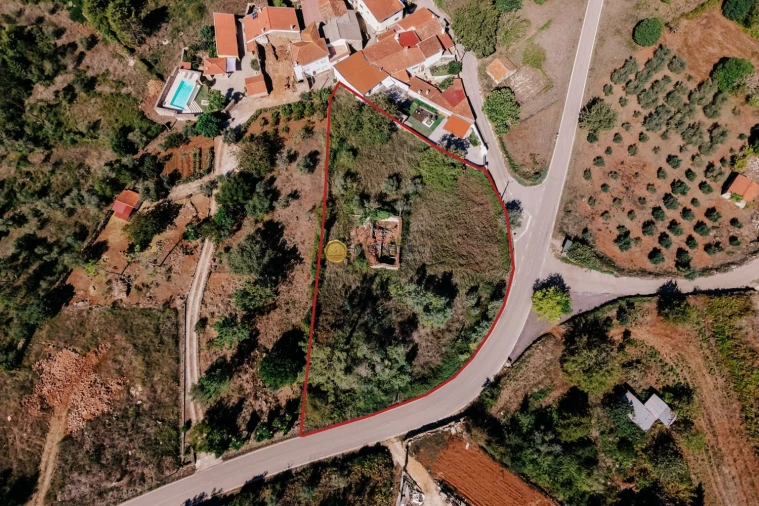 Terreno para Venda em Cernache Foto 3