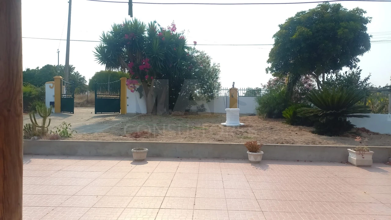Moradia T2 para Venda em Branca Foto 3