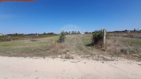 Terreno para Venda em Almeirim