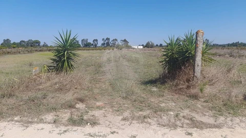 Terreno para Venda em Almeirim