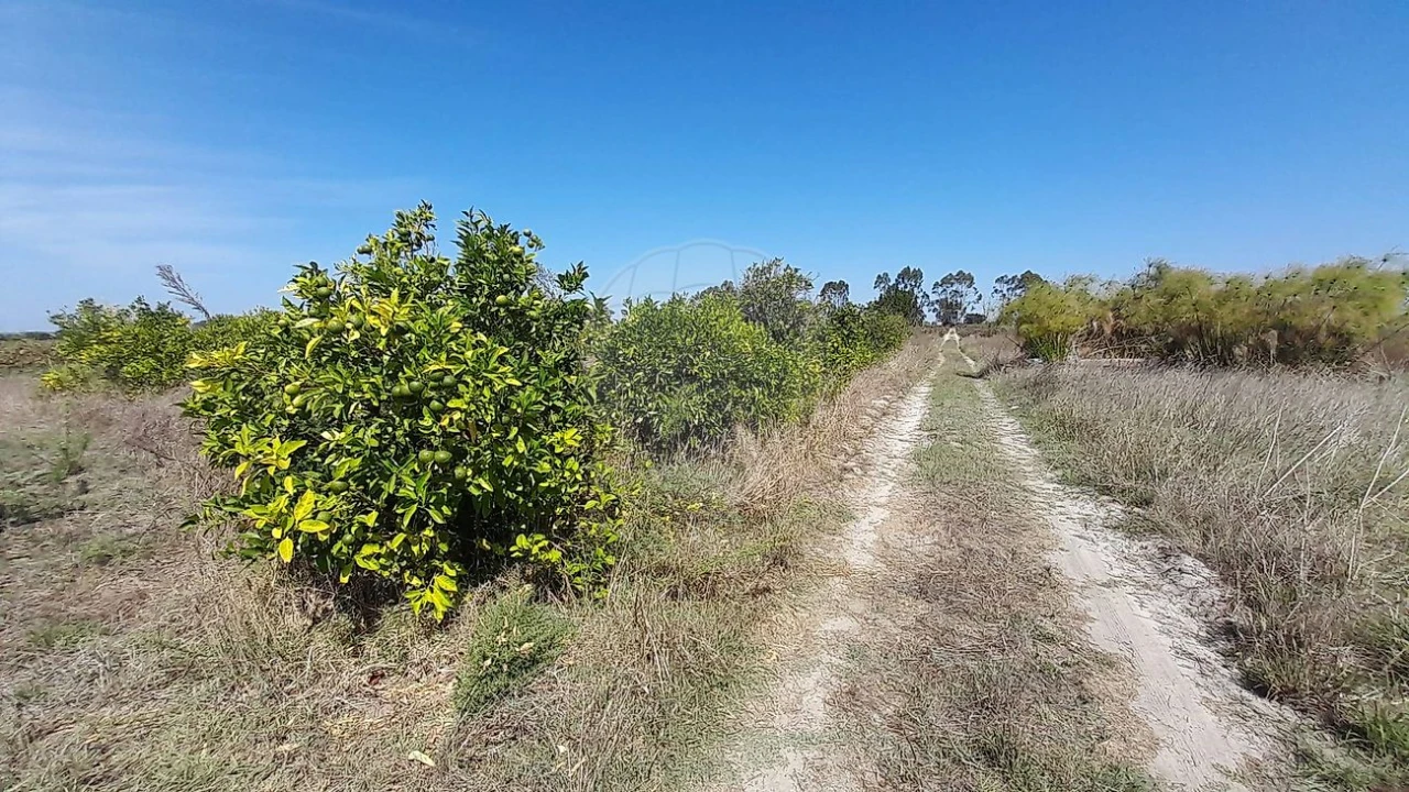 Terreno para Venda em Almeirim Foto 5
