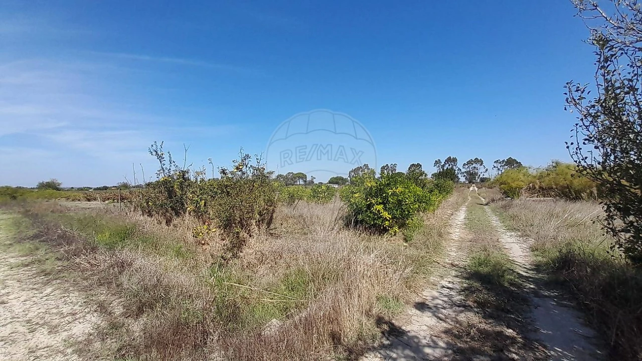 Terreno para Venda em Almeirim Foto 9