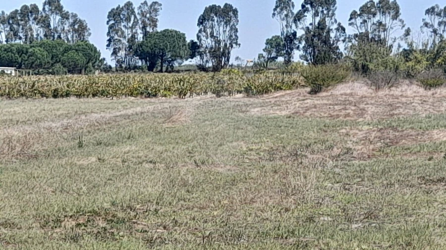 Terreno para Venda em Almeirim Foto 2