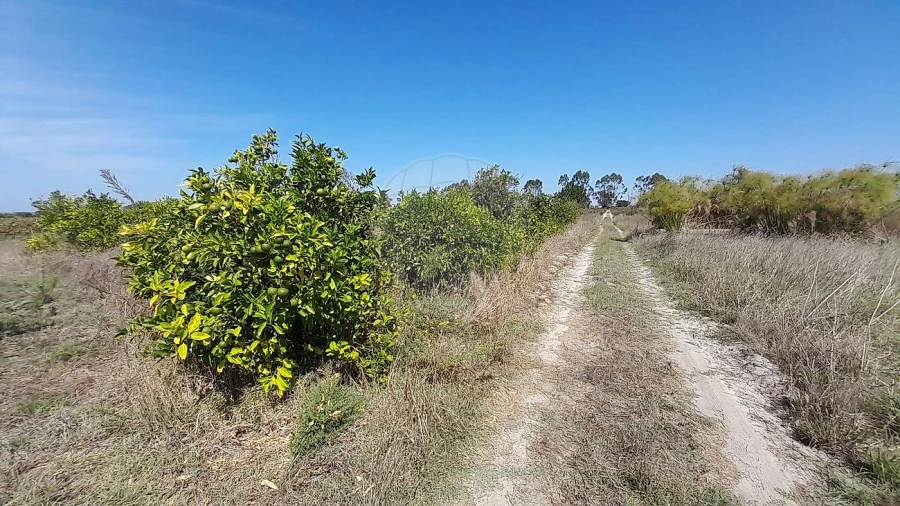 Terreno para Venda em Almeirim Foto 5