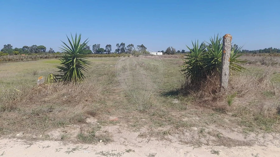 Terreno para Venda em Almeirim Foto 6