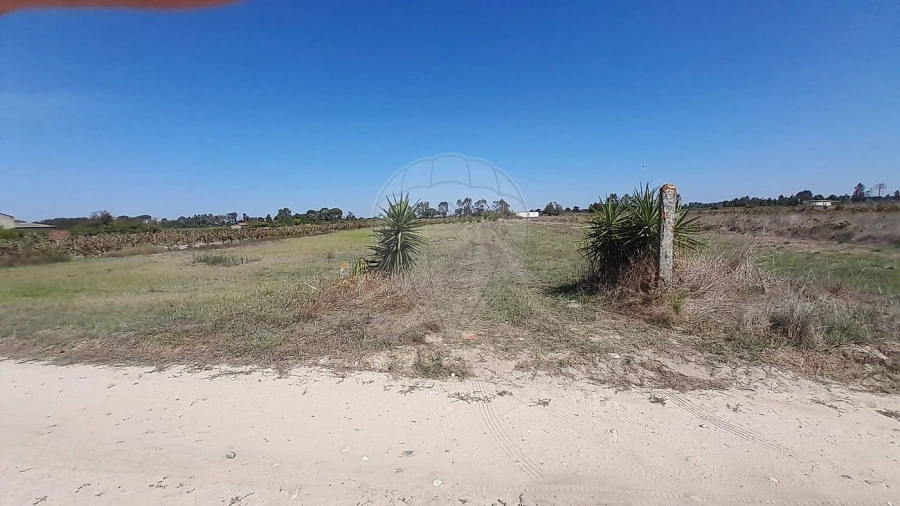 Terreno para Venda em Almeirim Foto 3