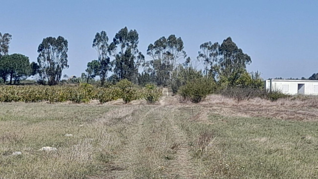 Terreno para Venda em Almeirim Foto 1