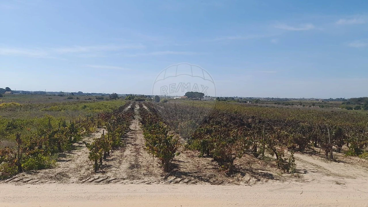 Terreno para Venda em Almeirim Foto 8