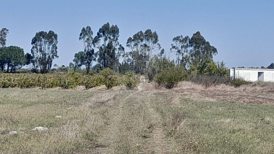 Terreno para Venda em Almeirim