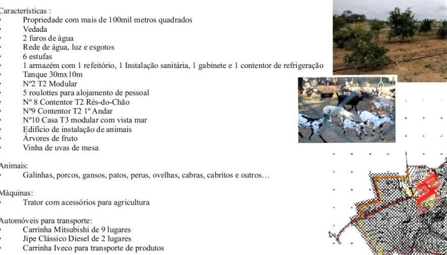 Negócio para Venda em Guia Planta 1