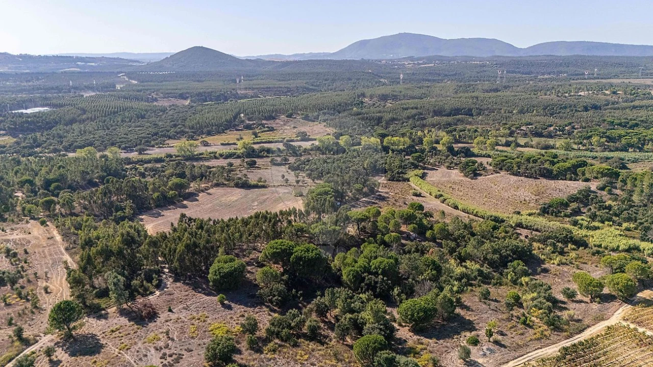 Terreno para Venda em Ota Foto 13