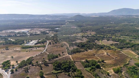 Terreno para Venda em Ota