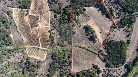 Terreno para Venda em Ota