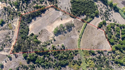 Terreno para Venda em Ota