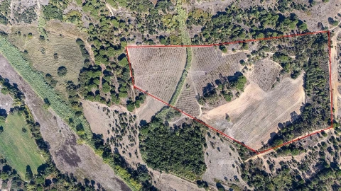 Terreno para Venda em Ota