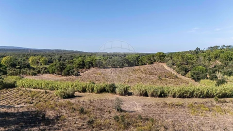 Terreno para Venda em Ota