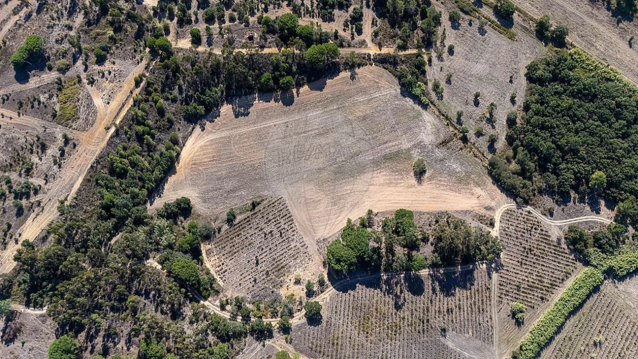 Terreno para Venda em Ota Foto 15