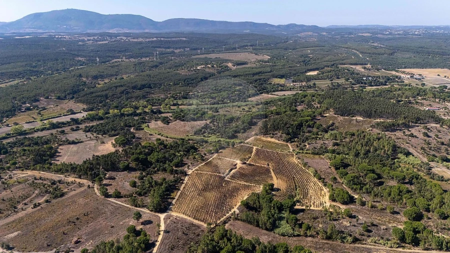 Terreno para Venda em Ota Foto 7