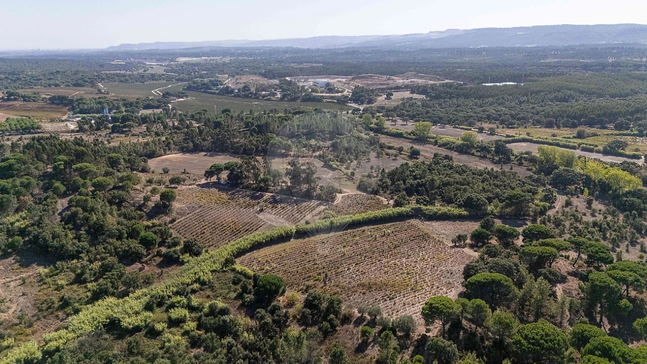 Terreno para Venda em Ota Foto 14