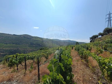 Terreno para Venda em Lobrigos (São Miguel e São João Baptista) e Sanhoane