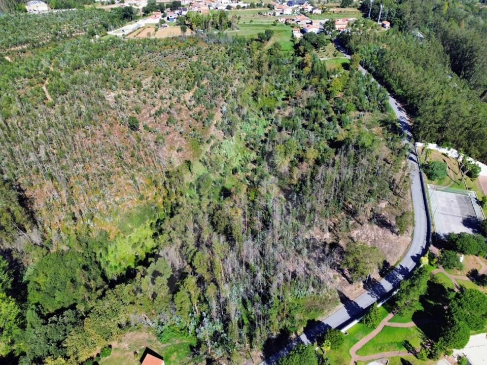 Terreno para Venda em Macinhata do Vouga Foto 5