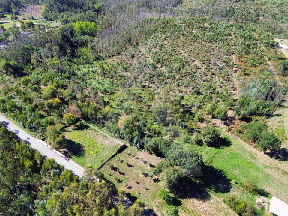 Terreno para Venda em Macinhata do Vouga Foto 4