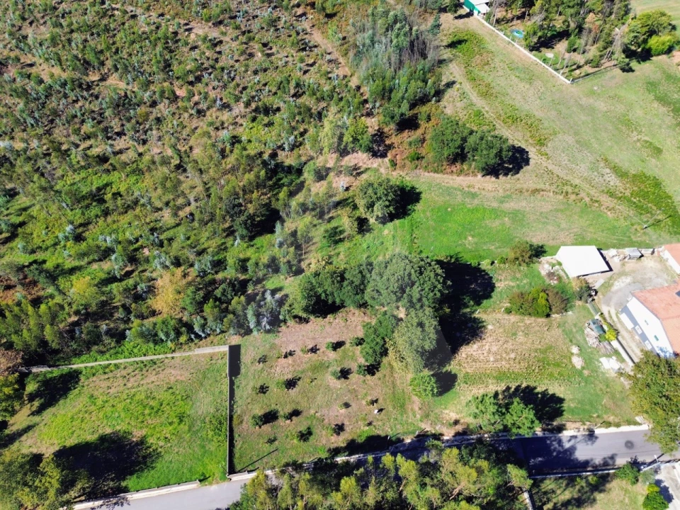Terreno para Venda em Macinhata do Vouga Foto 1
