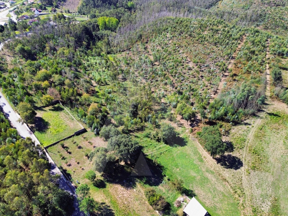 Terreno para Venda em Macinhata do Vouga Foto 2