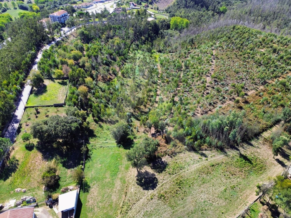 Terreno para Venda em Macinhata do Vouga Foto 7