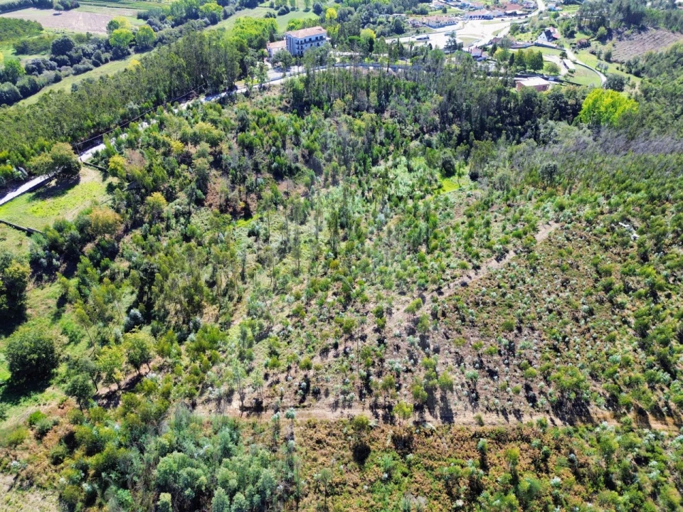 Terreno para Venda em Macinhata do Vouga Foto 8