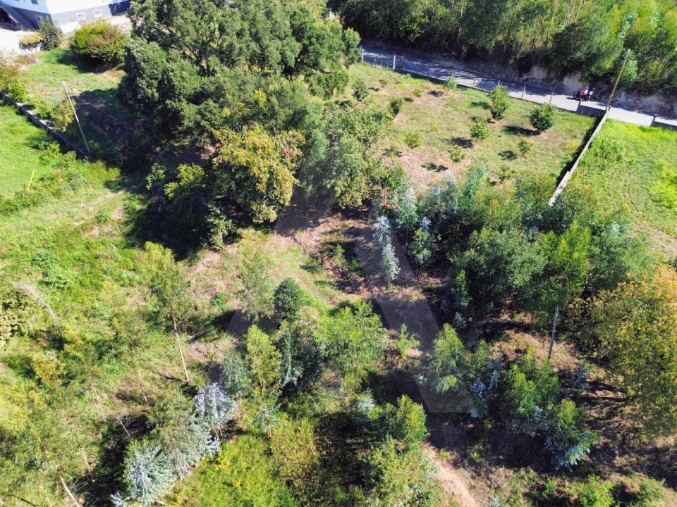 Terreno para Venda em Macinhata do Vouga Foto 11