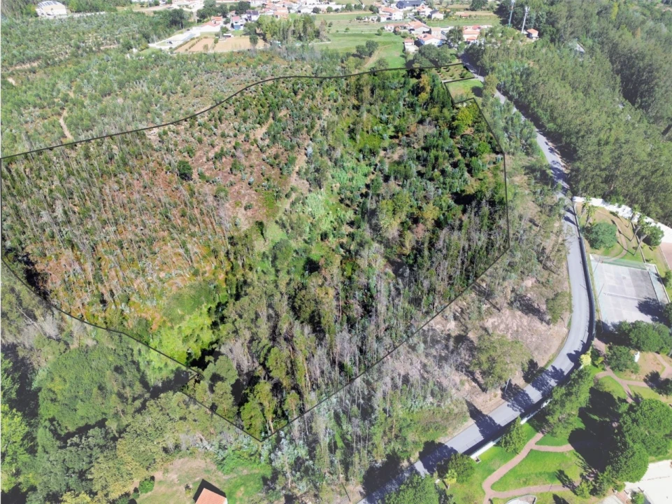 Terreno para Venda em Macinhata do Vouga Foto 12