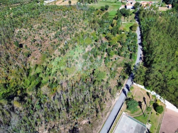 Terreno para Venda em Macinhata do Vouga