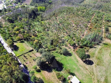 Terreno para Venda em Macinhata do Vouga