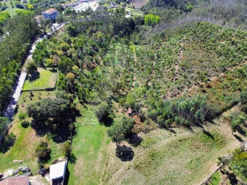 Terreno para Venda em Macinhata do Vouga