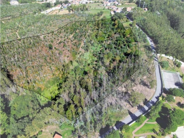 Terreno para Venda em Macinhata do Vouga