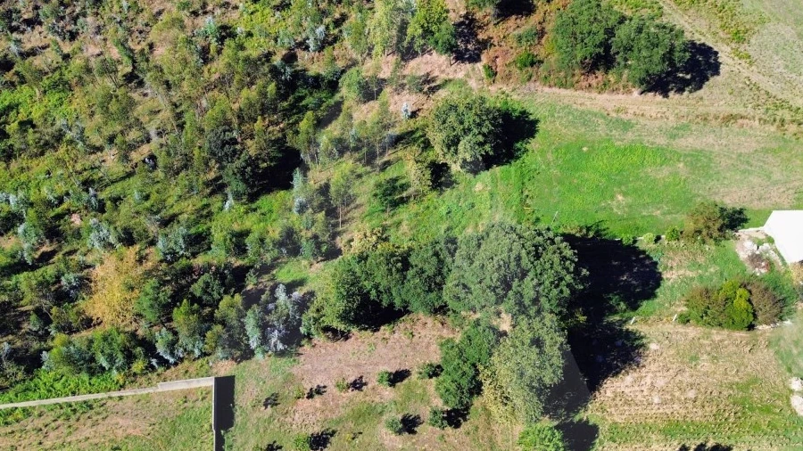 Terreno para Venda em Macinhata do Vouga