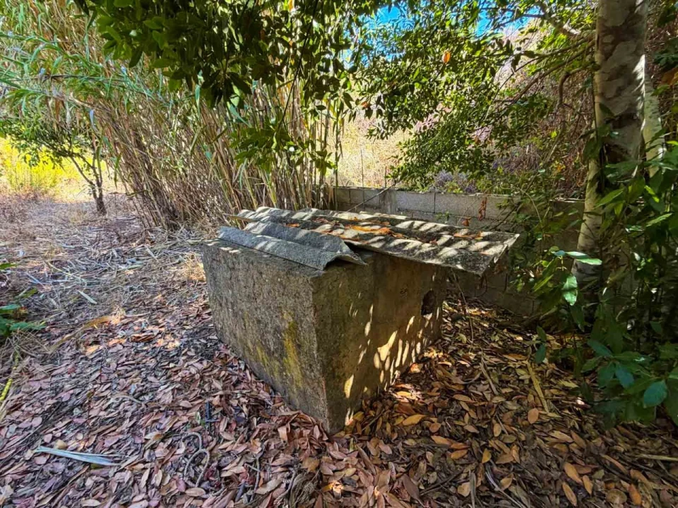 Quinta T2 para Venda em Mexilhoeira Grande Foto 22