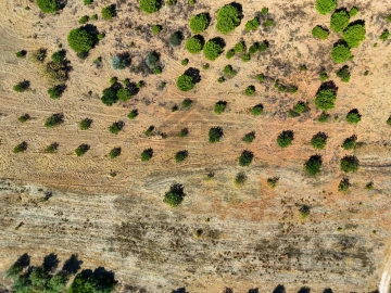 Quinta T2 para Venda em Mexilhoeira Grande