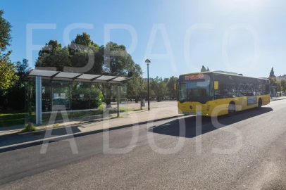 Apartamento T1 para Arrendamento em Falagueira-Venda Nova