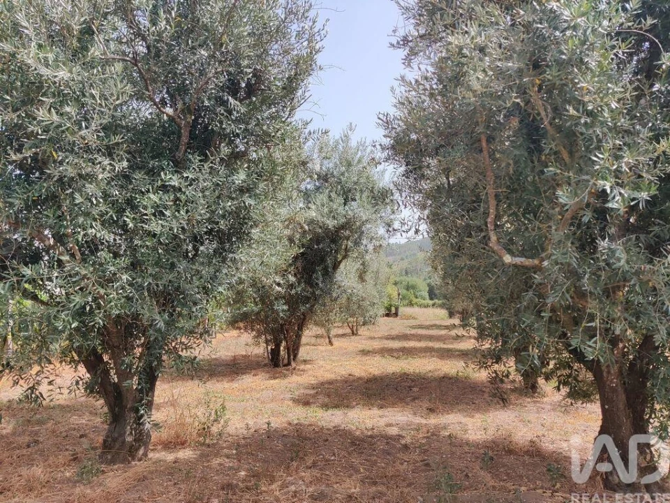 Terreno para Venda em Barreiros e Cepões Foto 5