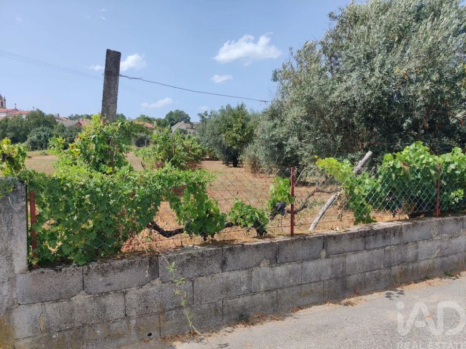 Terreno para Venda em Barreiros e Cepões Foto 3