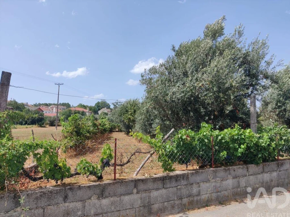Terreno para Venda em Barreiros e Cepões Foto 4