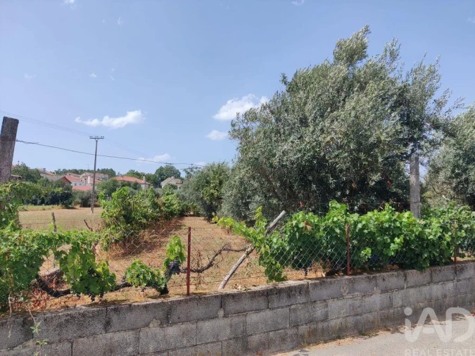Terreno para Venda em Barreiros e Cepões Foto 4