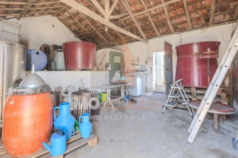 Moradia T3 para Venda em Almoster Foto 17